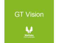 GT Vision