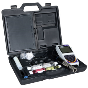 Image of Eutech DO 450