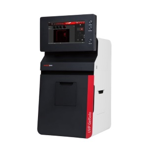 Image of UVP / Analytik Jena GelSolo M-26V