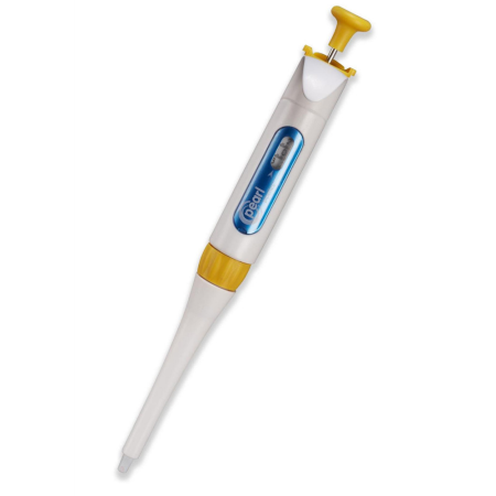 Image of  Pearl Adjustable