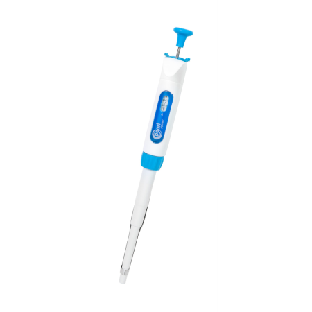 Image of  Pearl Adjustable