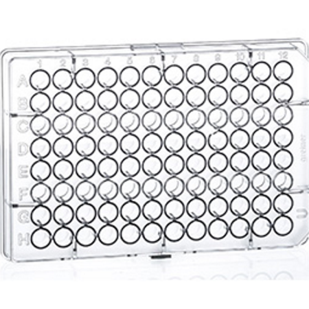 Image of  Microplate