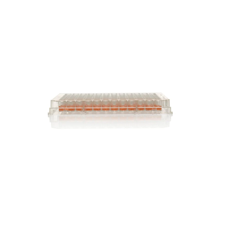 Image of  Nunc MicroWell Plate