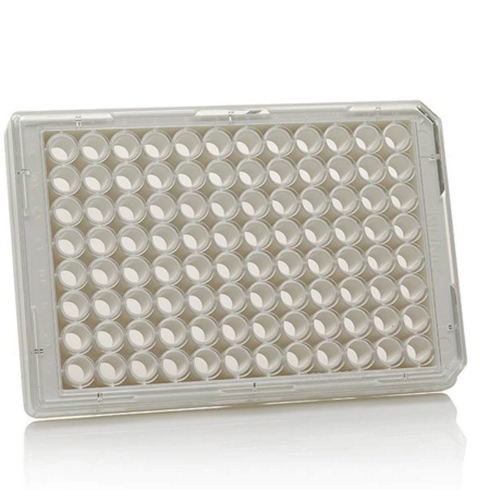 Image of  Nunc MicroWell Plate