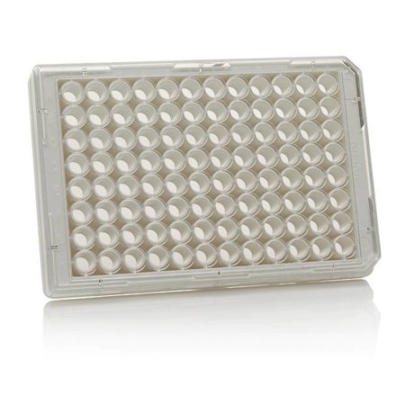 Image of  Nunc MicroWell Plate