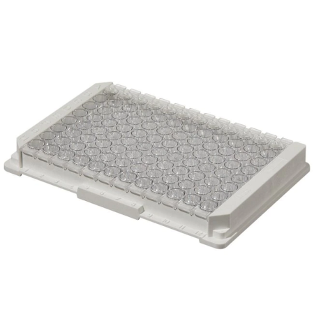 Image of  Nunc MicroWell Plate