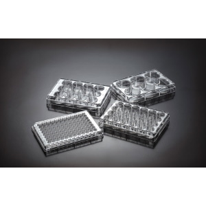 an image representing the Plastic Consumables - Plates category