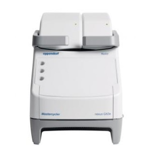 Image of Eppendorf Mastercycler Nexus GX2e