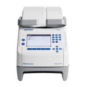 Image of Eppendorf Mastercycler Nexus X2