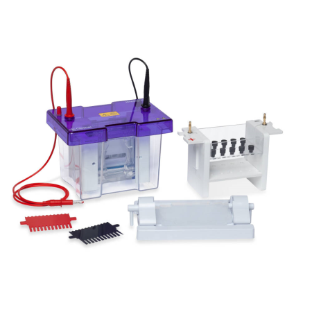 an image representing the Gel Electrophoresis - 2D Systems category