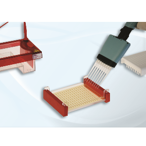 Image of Cleaver Scientific multiSUB midi 96 1.5