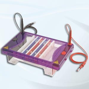 Image of Cleaver Scientific multiSUB choice 7