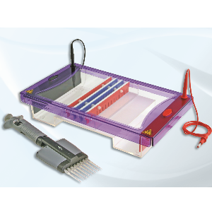 Image of Cleaver Scientific multiSUB maxi duo