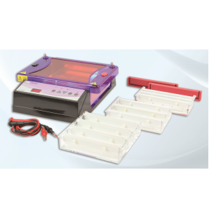 Image of  runVIEW choice 7